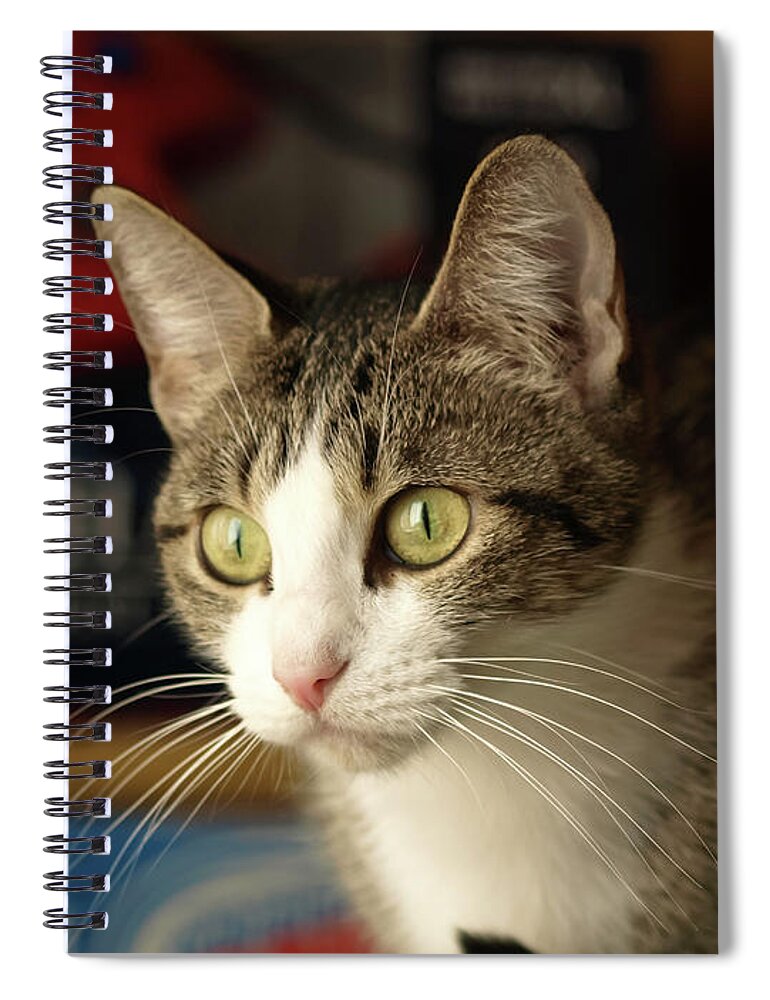 Grey Spiral Notebook featuring the photograph Really by C Winslow Shafer