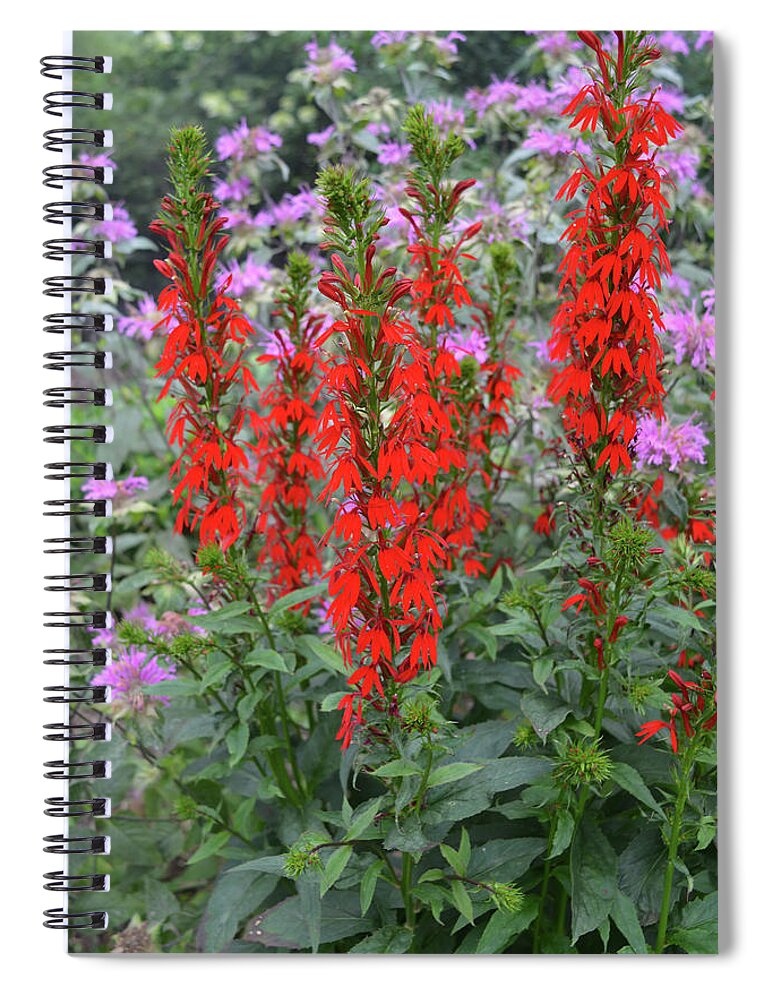 Flowers Spiral Notebook featuring the photograph Red and Lavender Wildflowers Vertical by Aimee L Maher ALM GALLERY