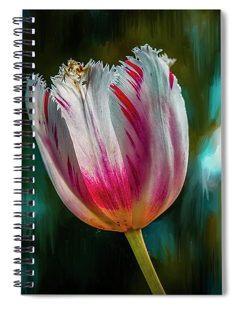 Red And White Tulip Spiral Notebook featuring the mixed media Red and White tulip #i8 by Leif Sohlman