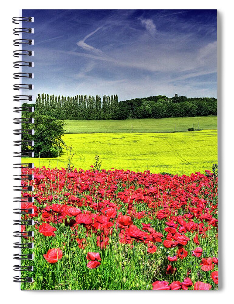 Scenics Spiral Notebook featuring the photograph Red And Yellow Green And Blue by Andy Mcgowan