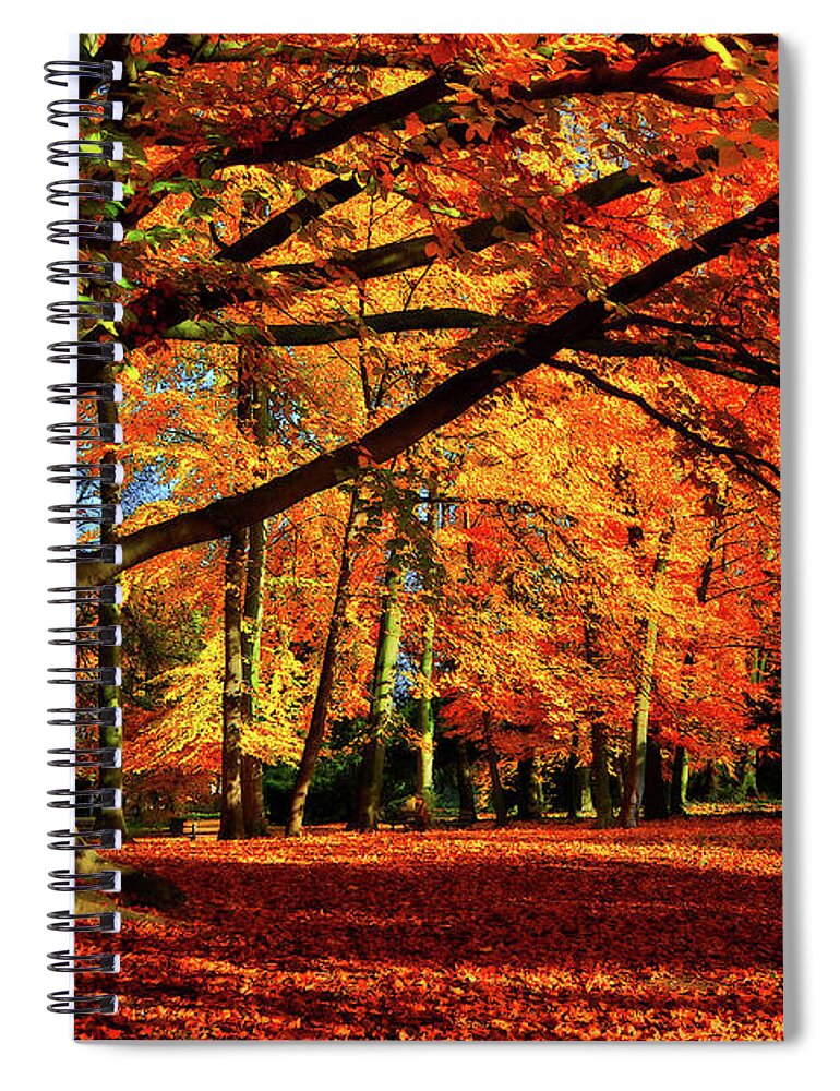 Autumn Spiral Notebook featuring the photograph Red Autumn by Philippe Sainte-Laudy