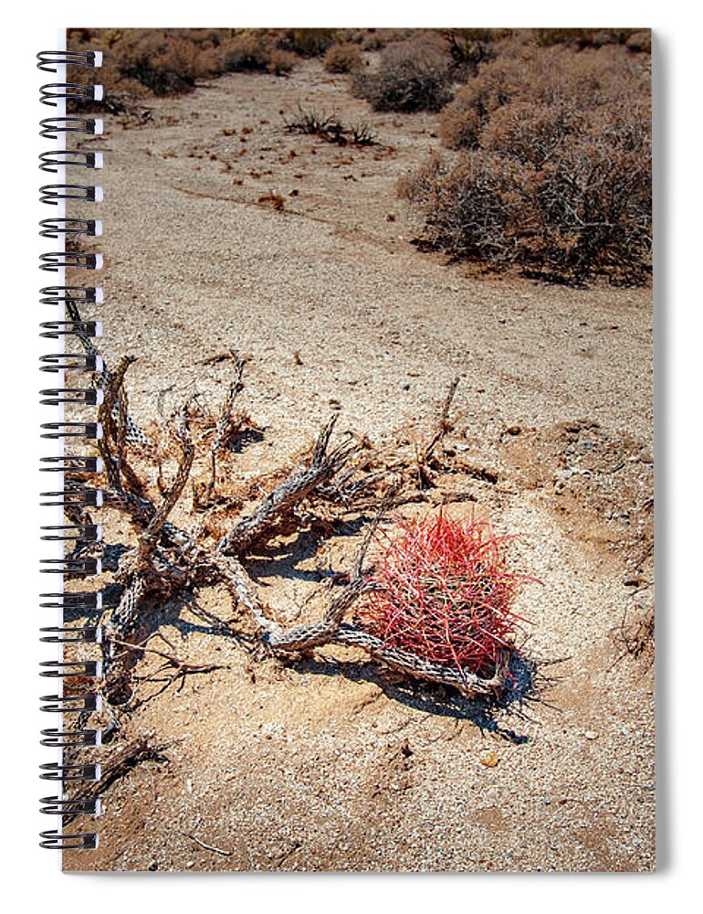 Anza-borrego Desert State Park Spiral Notebook featuring the photograph Red Barrel Cactus by Mark Duehmig