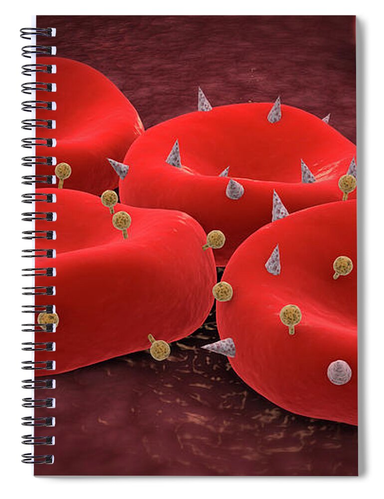 Illustration Spiral Notebook featuring the digital art Red blood cells with antigens. by Stocktrek Images