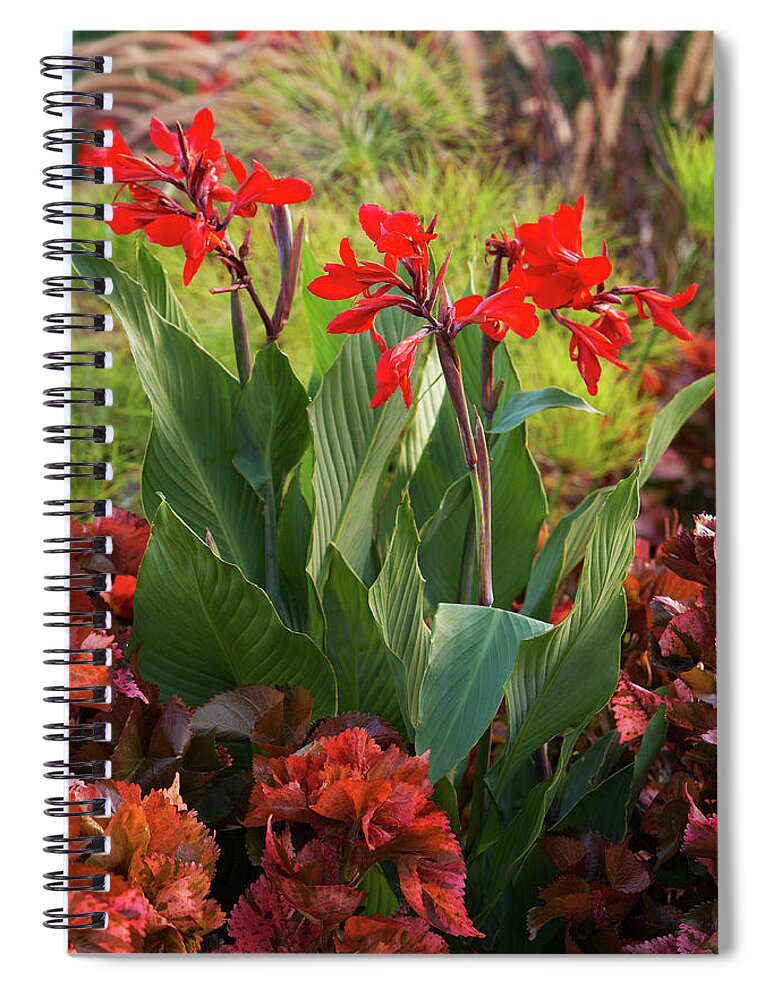Garden Spiral Notebook featuring the photograph Red cannas by Garden Gate magazine