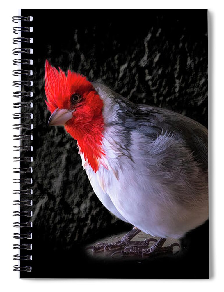 Hawaii Spiral Notebook featuring the photograph Red Head by G Lamar Yancy