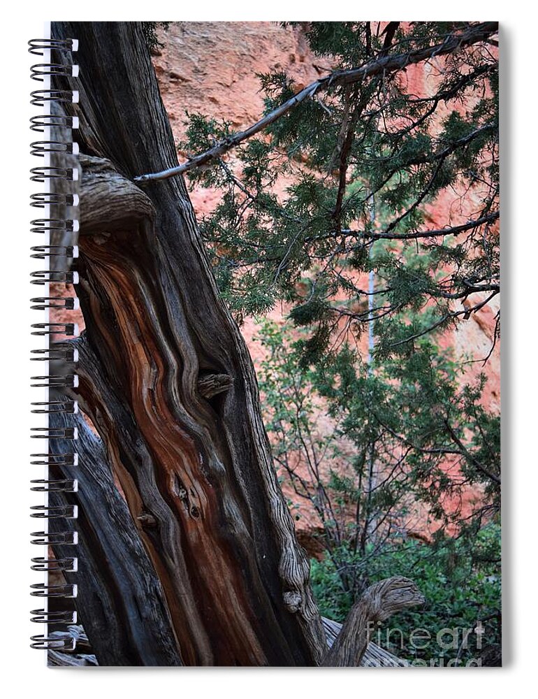 Utah Spiral Notebook featuring the photograph Red Heart, Bryce Canyon by Leslie M Browning