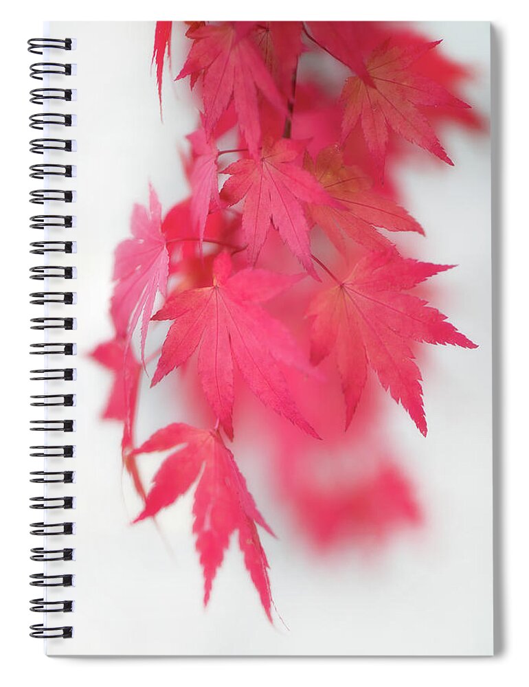 Autumn Spiral Notebook featuring the photograph Red Movement by Philippe Sainte-Laudy