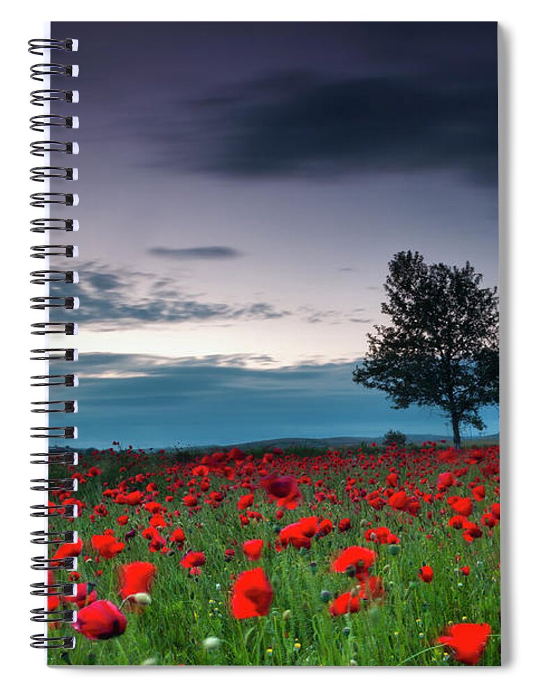 Scenics Spiral Notebook featuring the photograph Red Poppy Field by Evgeni Dinev Photography