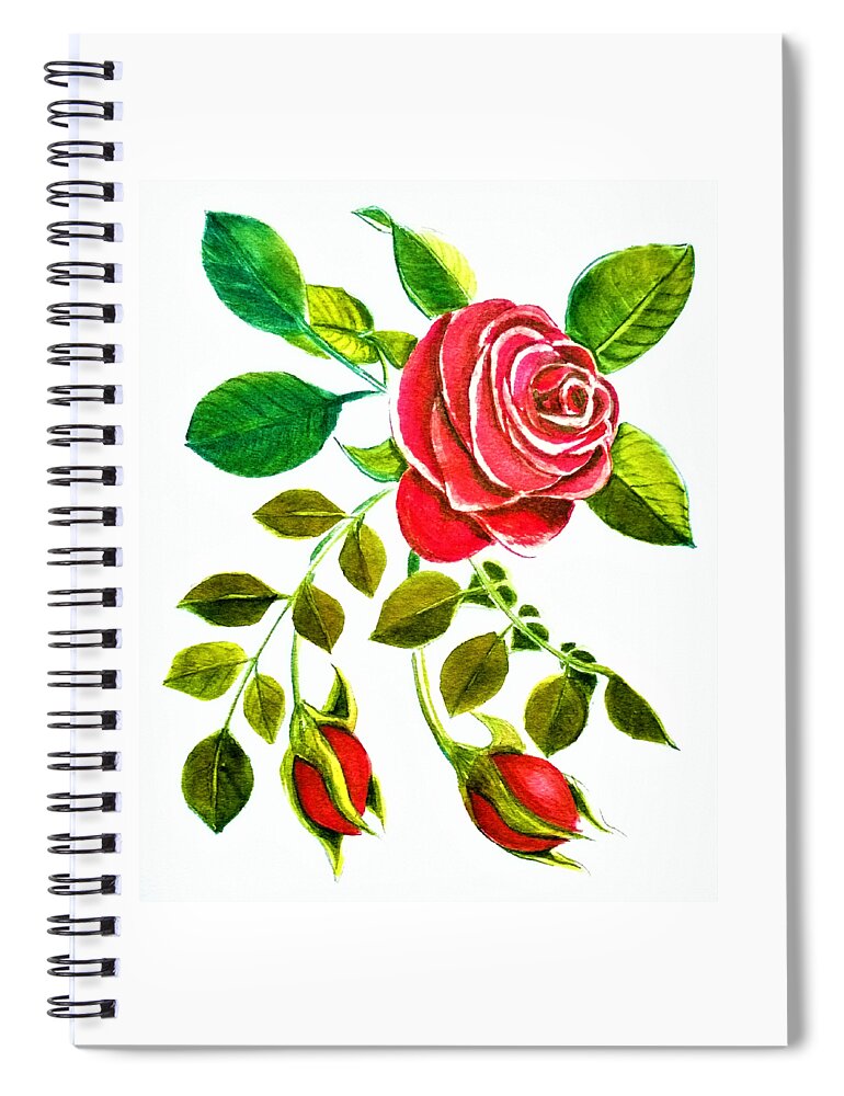 Red Spiral Notebook featuring the painting Red Rose Watercolor by Delynn Addams for Home Decor by Delynn Addams