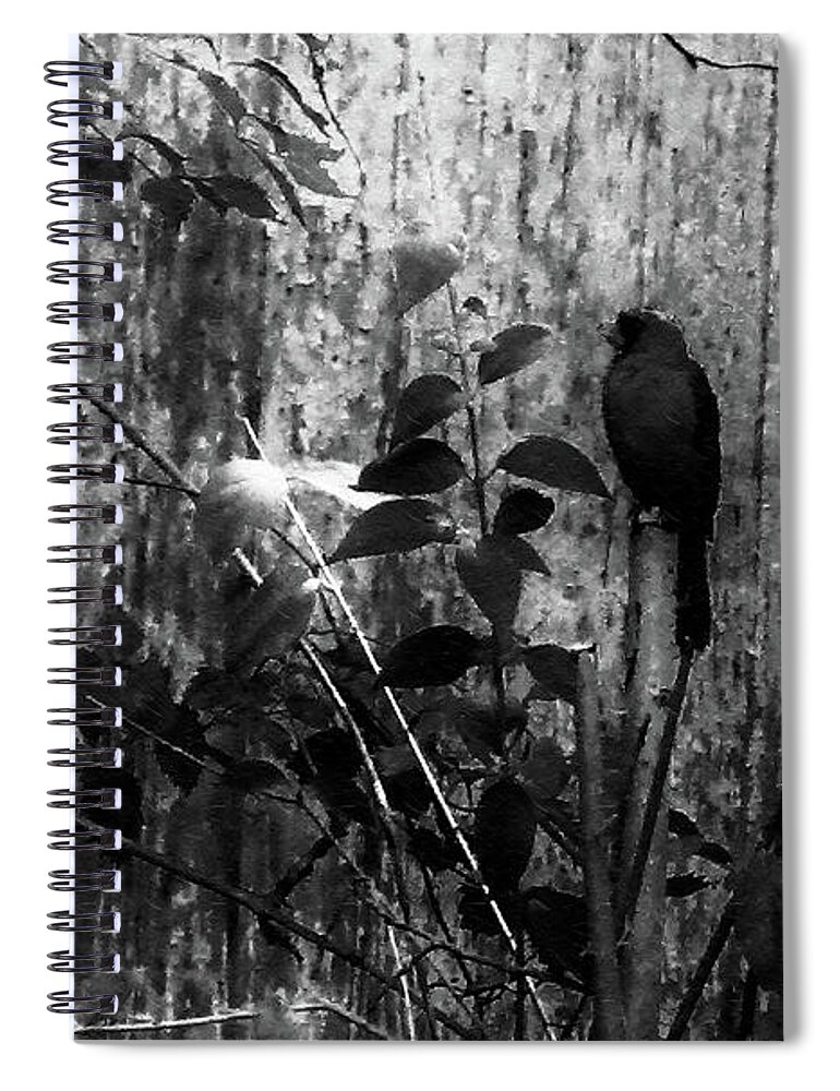 Red Birds Spiral Notebook featuring the photograph Redbird Enjoying the Clarity of a Blue and Green Black and White Moment by Aberjhani