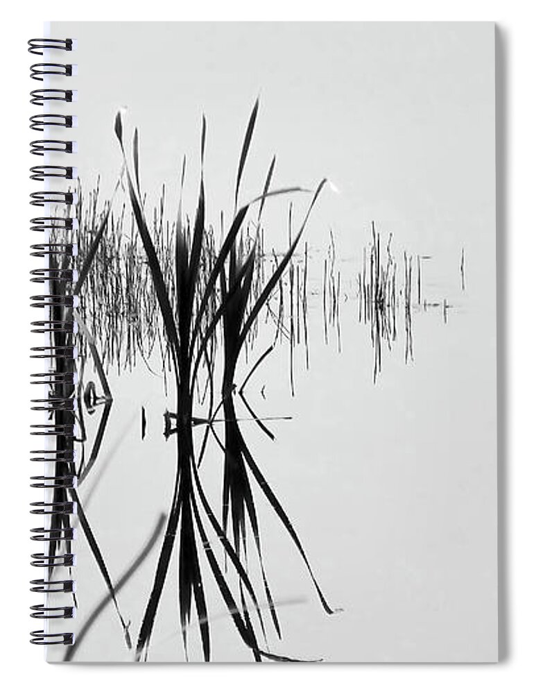 2019-05-31 Spiral Notebook featuring the photograph Reed Reflection by Phil And Karen Rispin