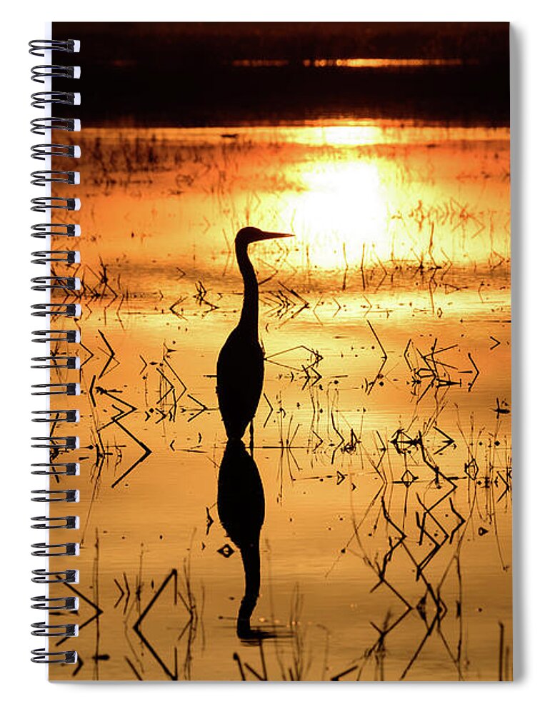 Reflecting Spiral Notebook featuring the photograph Reflecting by Janet Kopper