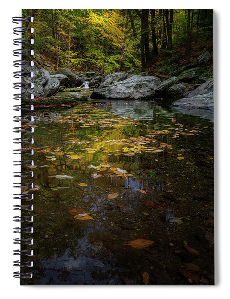 Autumn Reflection Spiral Notebook featuring the photograph Reflecting on Autumn by Bill Wakeley