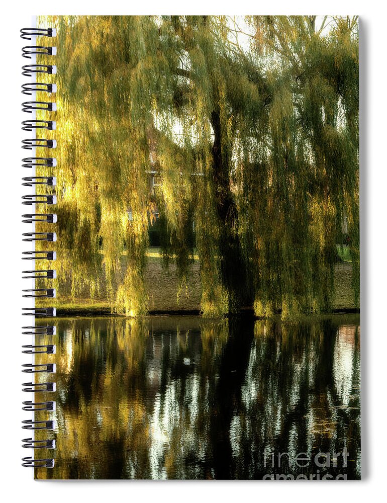 Color Spiral Notebook featuring the photograph Reflecting weeping willow tree by Patricia Hofmeester