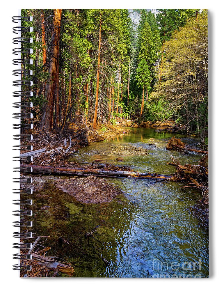 California Spiral Notebook featuring the photograph Reflections in Merced River by Roslyn Wilkins