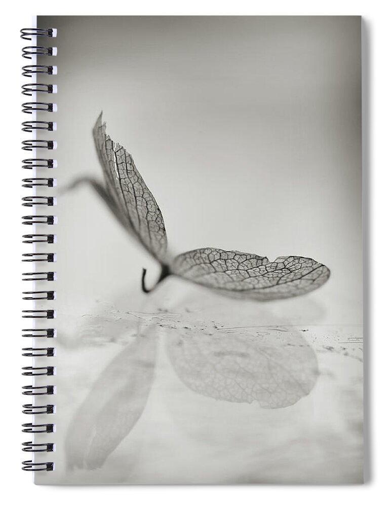 Minimal Spiral Notebook featuring the photograph Reflective by Michelle Wermuth