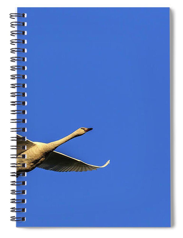 Skagit Valley Spiral Notebook featuring the photograph Requesting Permission to Land by Briand Sanderson