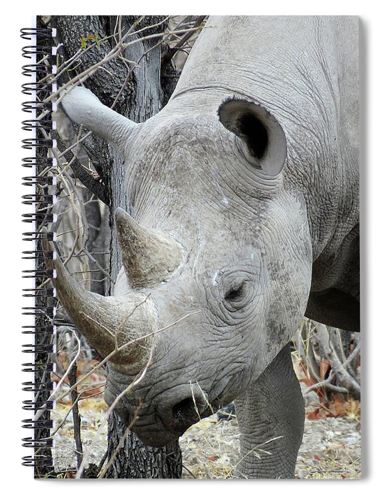 Rhino Spiral Notebook featuring the photograph Rhino 3 by Eric Pengelly