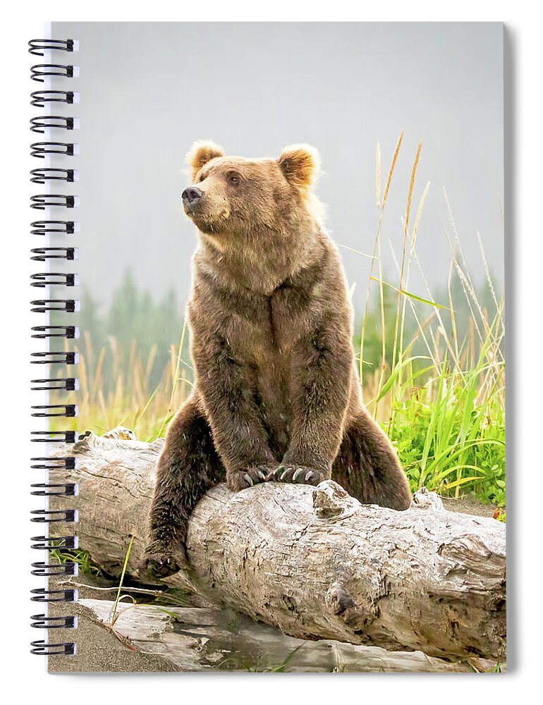 Bear Spiral Notebook featuring the photograph Ride 'em Cowbear by Jack Bell