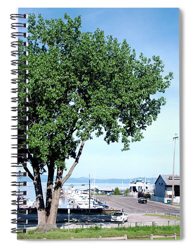 Cottonwood Spiral Notebook featuring the photograph RIP Cottonwood Tree by Rik Carlson