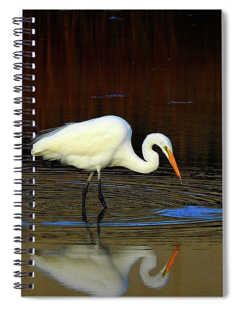 Egret Spiral Notebook featuring the photograph Rippled Reflections by Scott Cameron