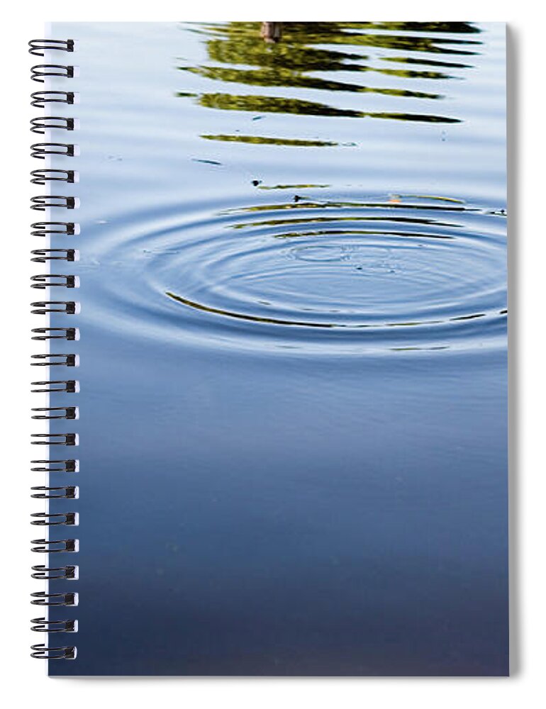 Concepts & Topics Spiral Notebook featuring the photograph Ripples On A Pond by Rapideye