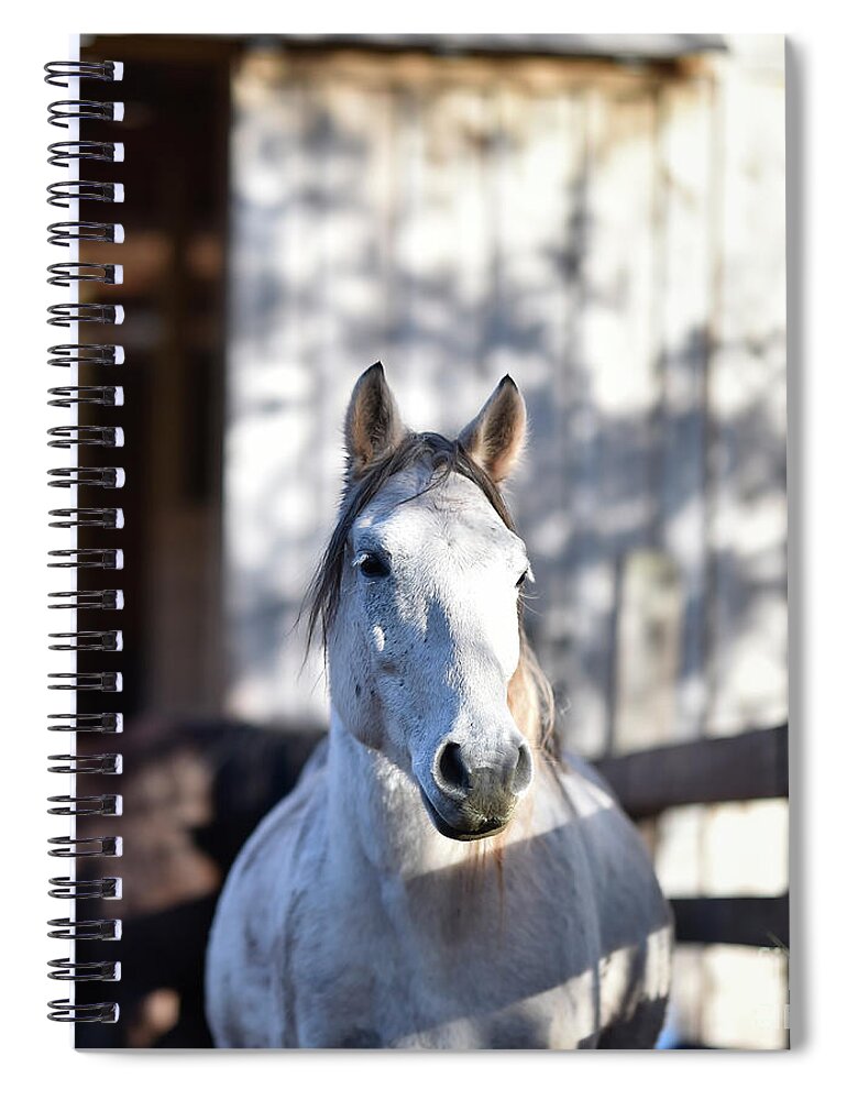 Rosemary Farm Spiral Notebook featuring the photograph River by Carien Schippers