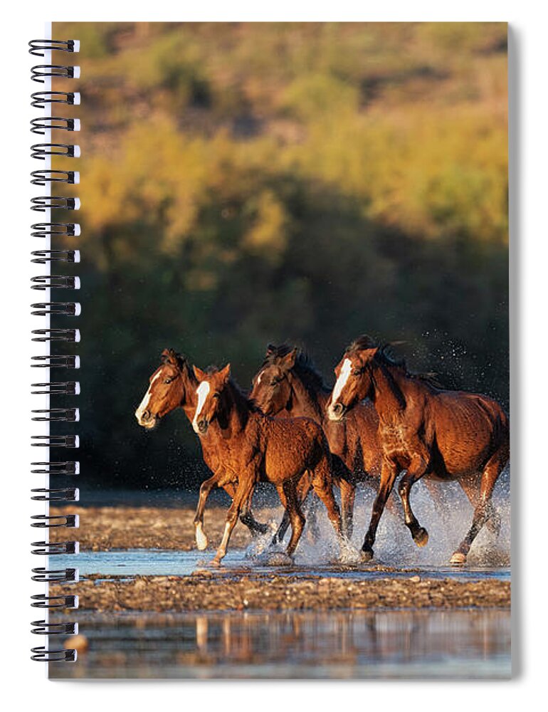 Salt River Wild Horses Spiral Notebook featuring the photograph River Run 3 by Shannon Hastings