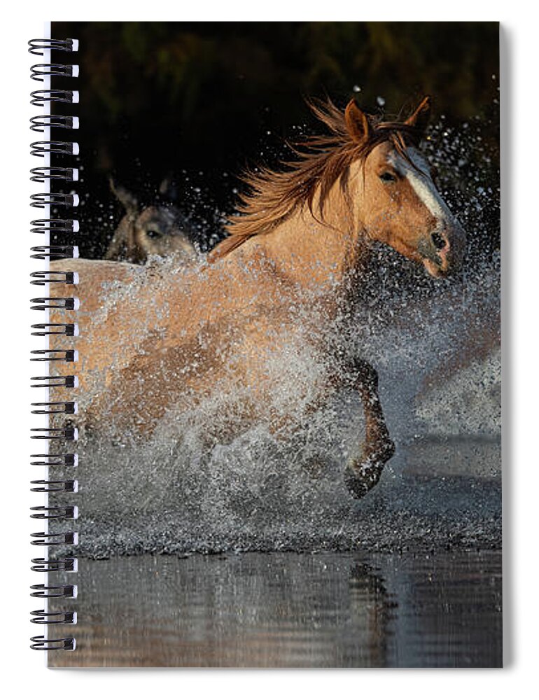 Horse Spiral Notebook featuring the photograph River Run by Shannon Hastings
