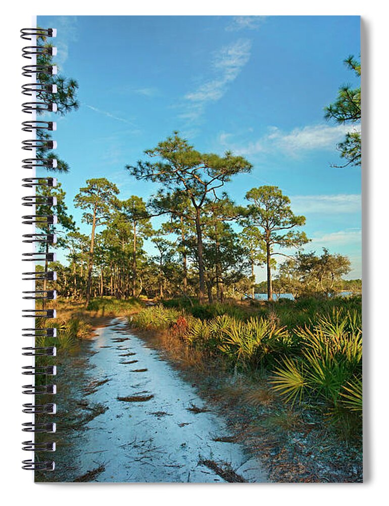 00546374 Spiral Notebook featuring the photograph Riverside Path, Ochlockonee River State Park, Florida by Tim Fitzharris