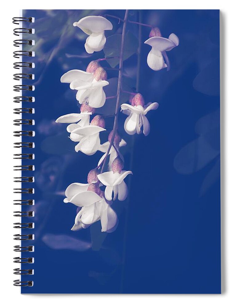 Flower Spiral Notebook featuring the photograph Robinia Pseudoacacia by Jaroslav Buna