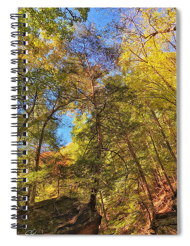 Trees Spiral Notebook featuring the photograph Rock Climbers by Andrea Platt