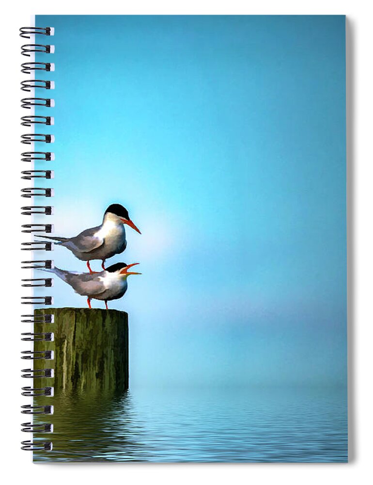 Terns Spiral Notebook featuring the photograph Romance On The High Seas by Cathy Kovarik