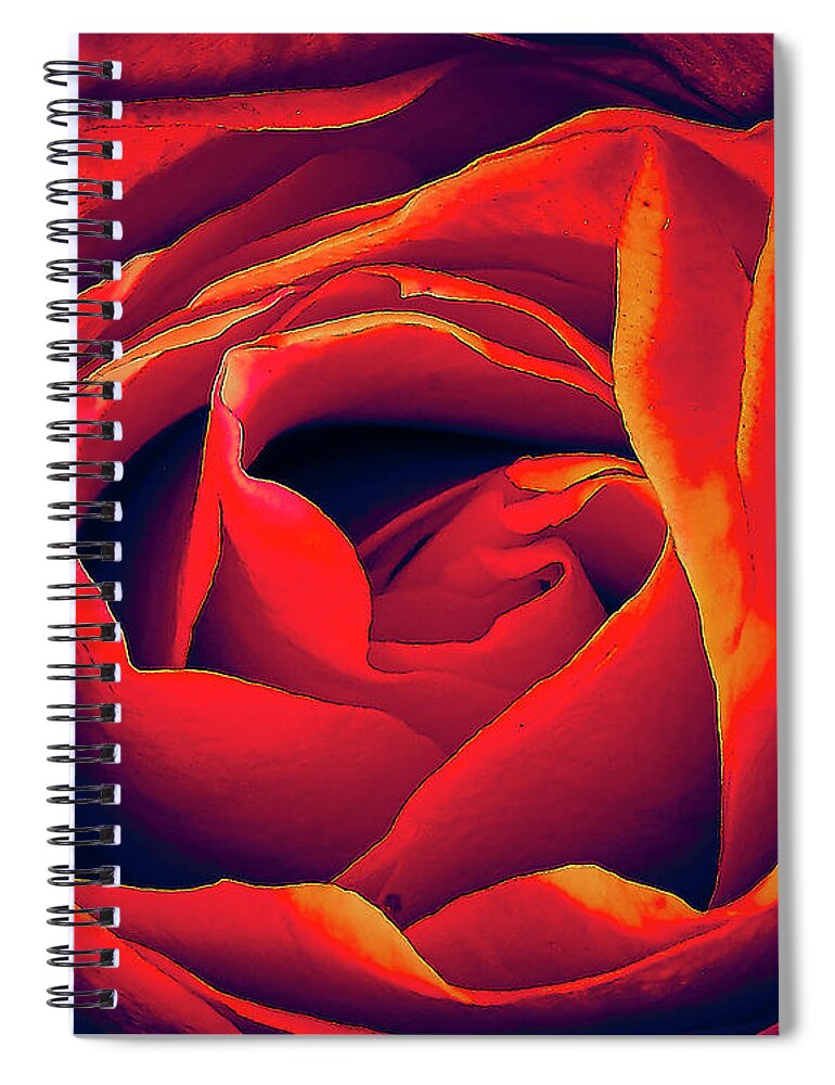 Santa Spiral Notebook featuring the photograph Rose Ablaze by Charles Muhle