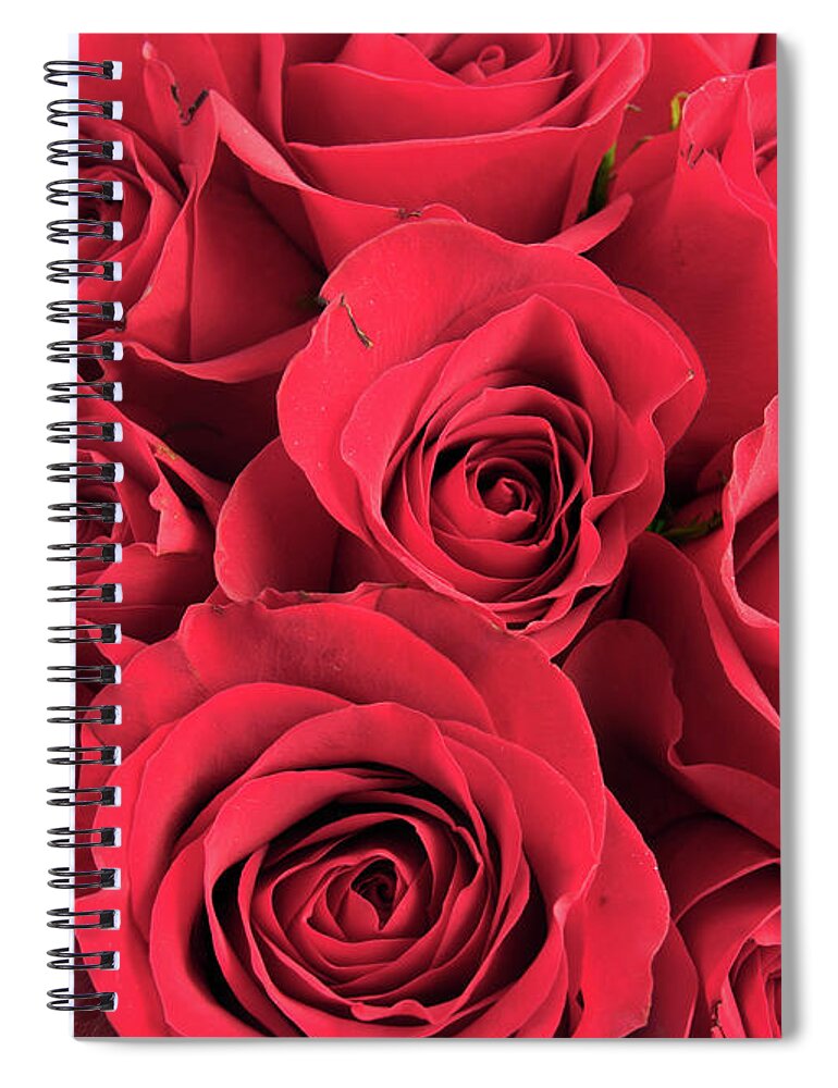 Holiday Spiral Notebook featuring the photograph Rose by Vidok