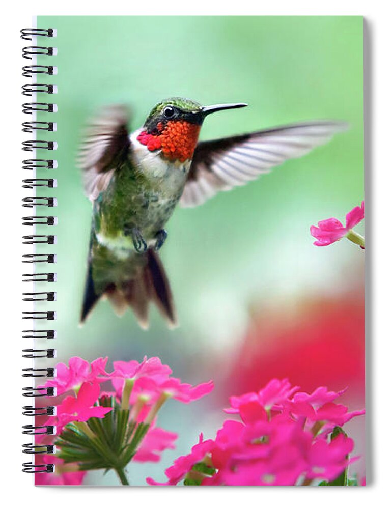 Hummingbird Spiral Notebook featuring the photograph Ruby Garden Jewel by Christina Rollo