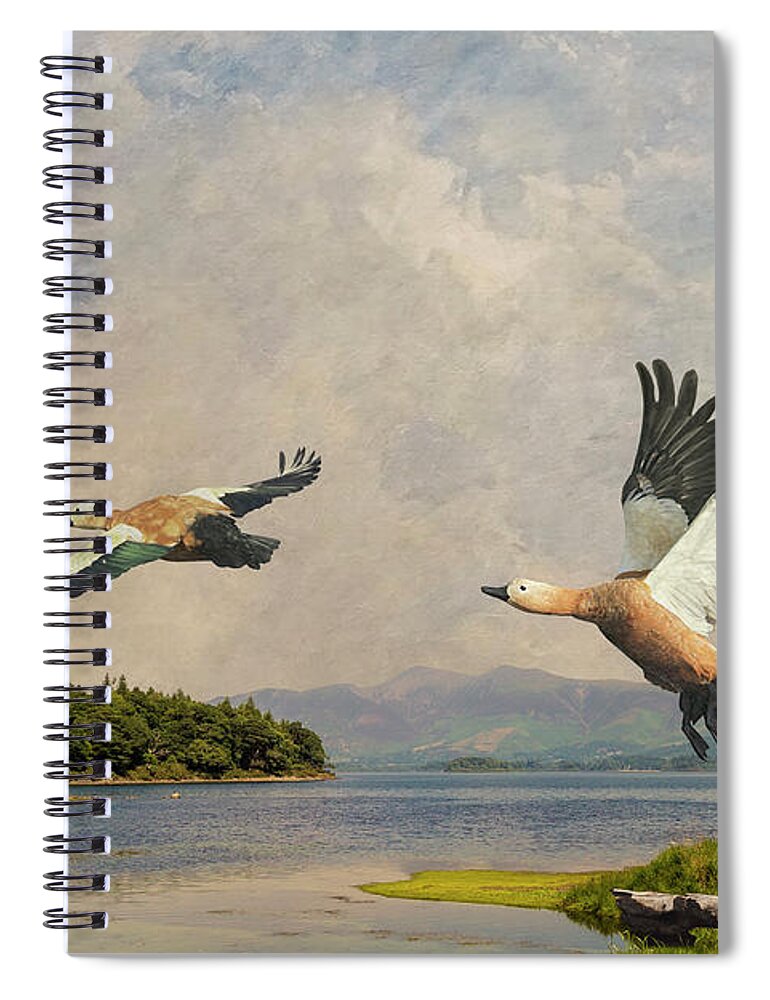 Bird Spiral Notebook featuring the digital art Ruddy Shelducks by M Spadecaller