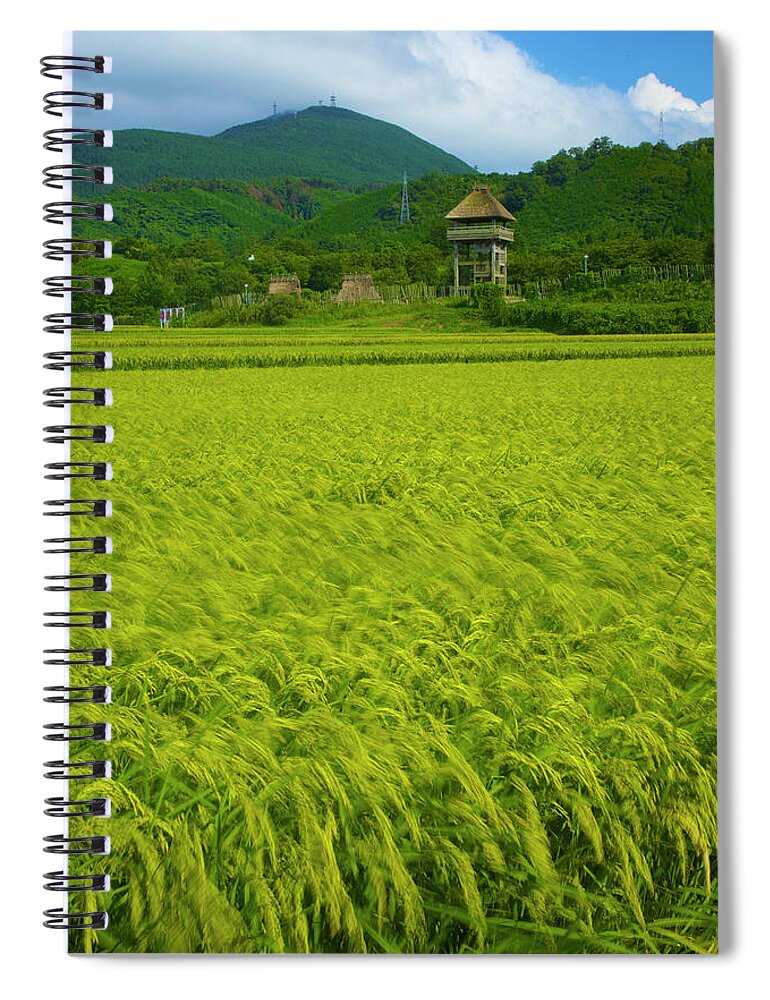 Tranquility Spiral Notebook featuring the photograph Ruins Rice Field by Noriyuki Araki