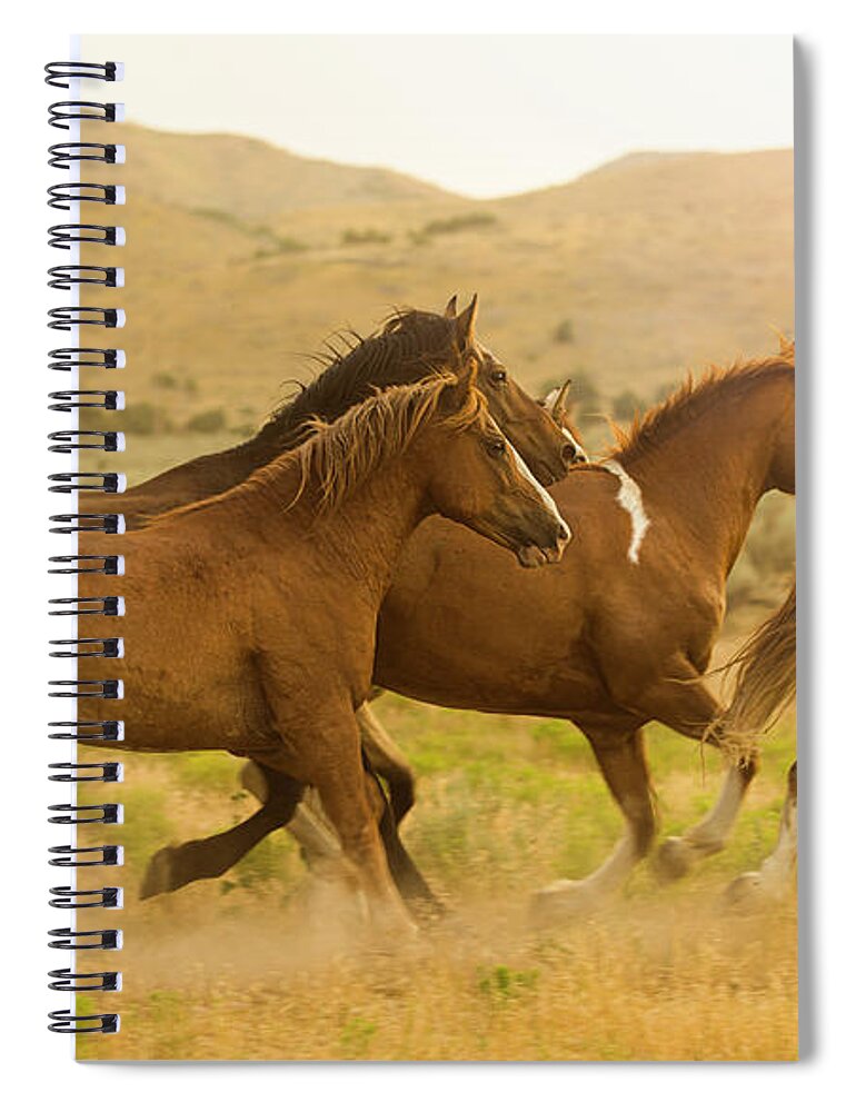 Horses Spiral Notebook featuring the photograph Running Horses by Diane Diederich