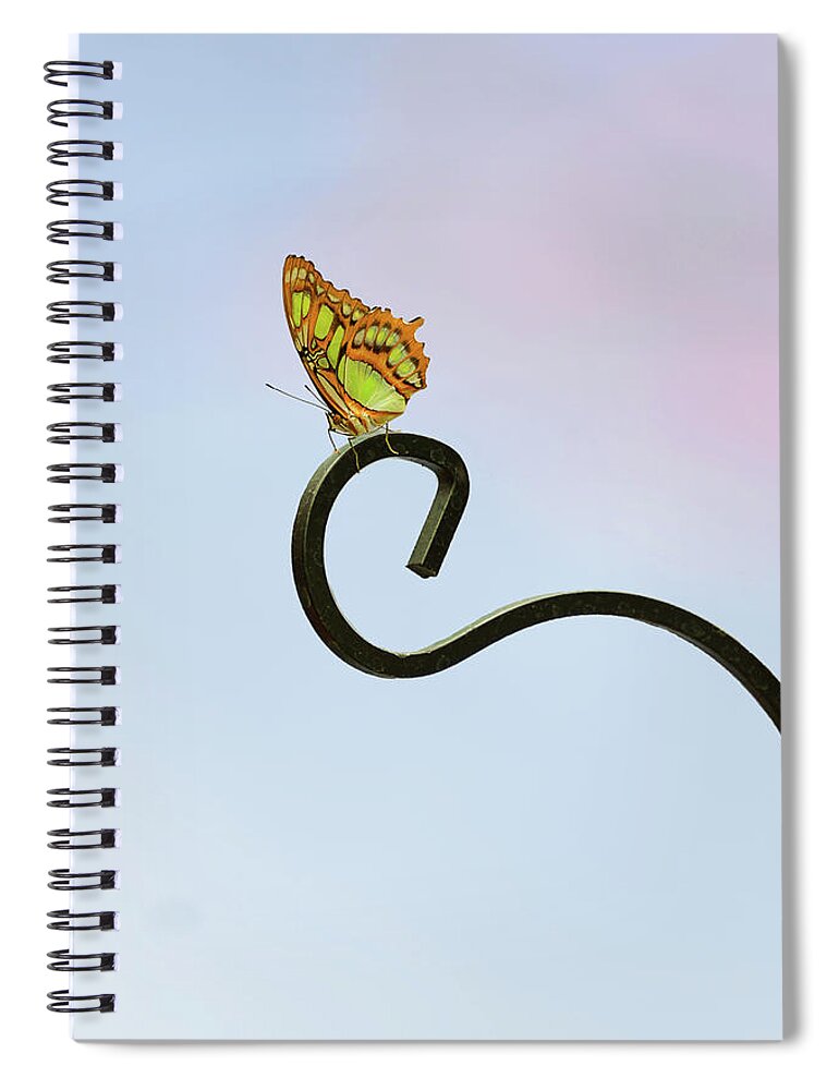 Minimal Spiral Notebook featuring the photograph Sacred by Michelle Wermuth
