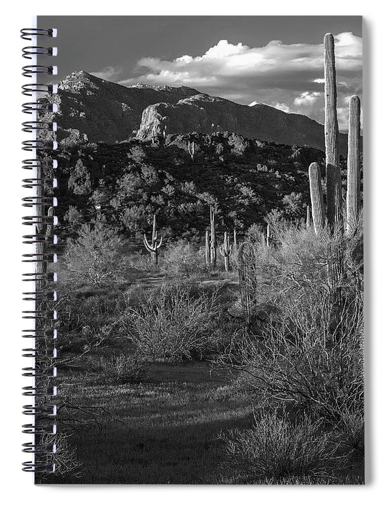 Disk1216 Spiral Notebook featuring the photograph Saguaro Cacti, Picacho Mts by Tim Fitzharris