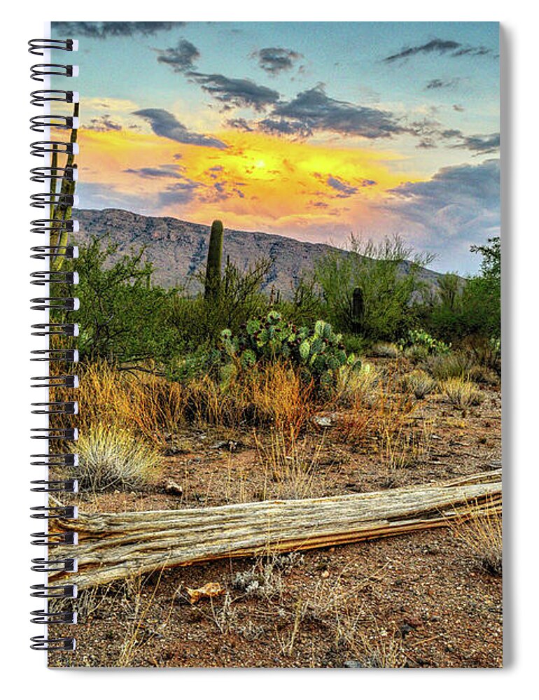 Saguaro Spiral Notebook featuring the photograph Saguaro Cactus Skeleton and Rincon Mountains by Chance Kafka