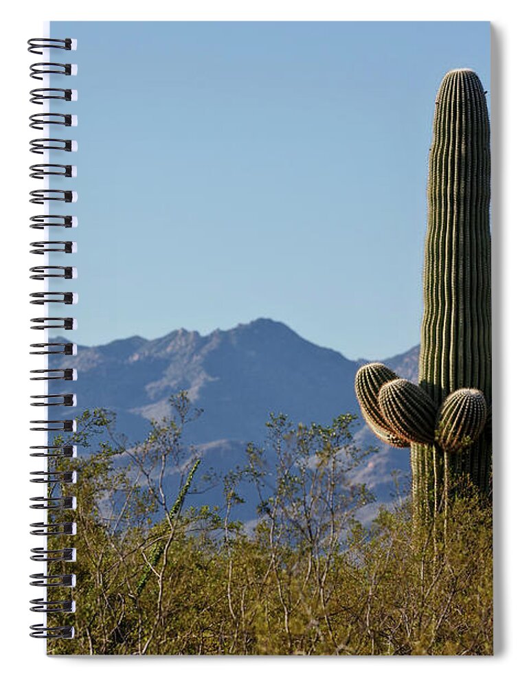 Saguaro Standing Tall Spiral Notebook featuring the photograph Saguaro Standing Tall by Wes and Dotty Weber
