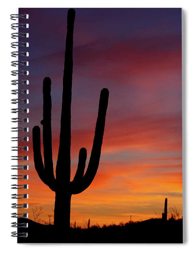 Saguaro Cactus Spiral Notebook featuring the photograph Saguaro Sunrise by Phototropic