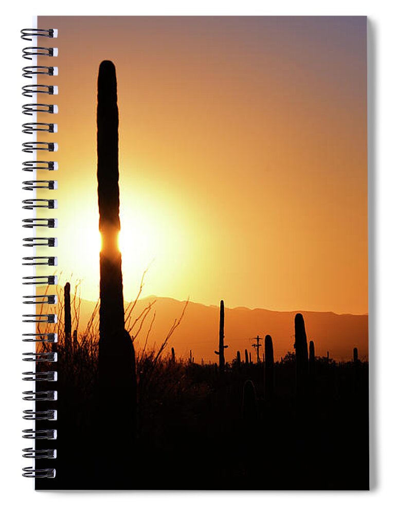 Denise Bruchman Photography Spiral Notebook featuring the photograph Saguaro Sunset by Denise Bruchman
