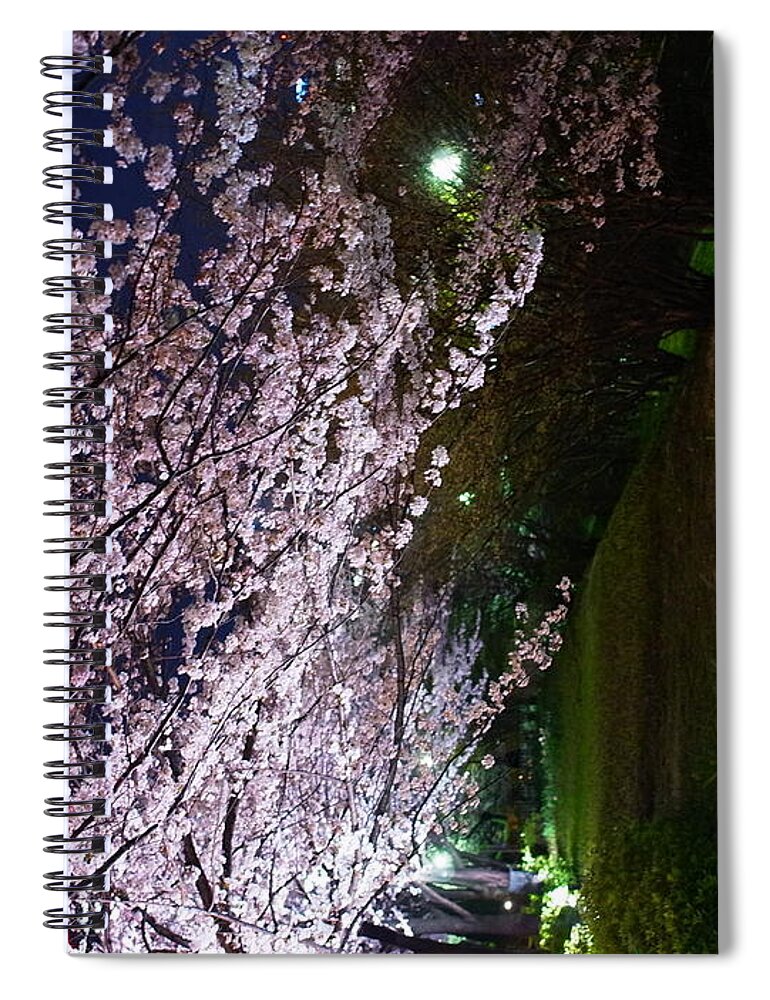 Tranquility Spiral Notebook featuring the photograph Sakura Blossom by Hamachi!'s Getty Images Photo