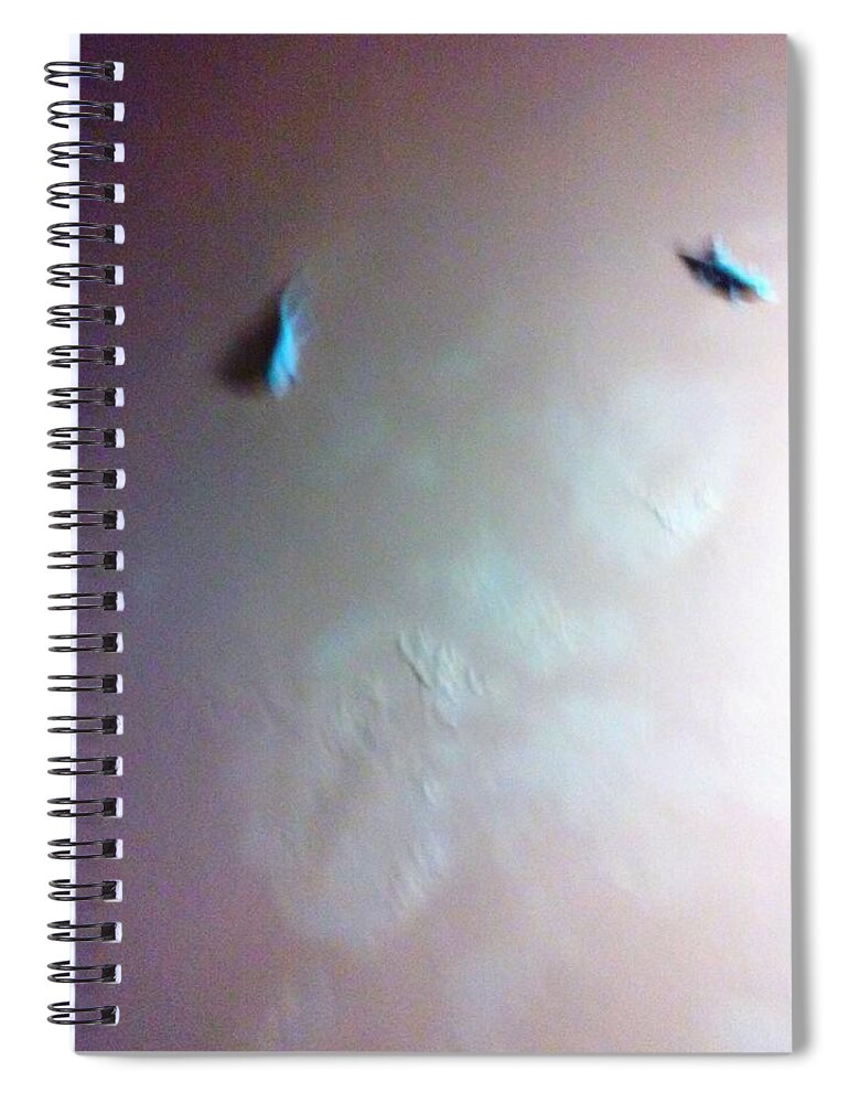  Spiral Notebook featuring the photograph Salamandras by Nestor Cardona Cardona