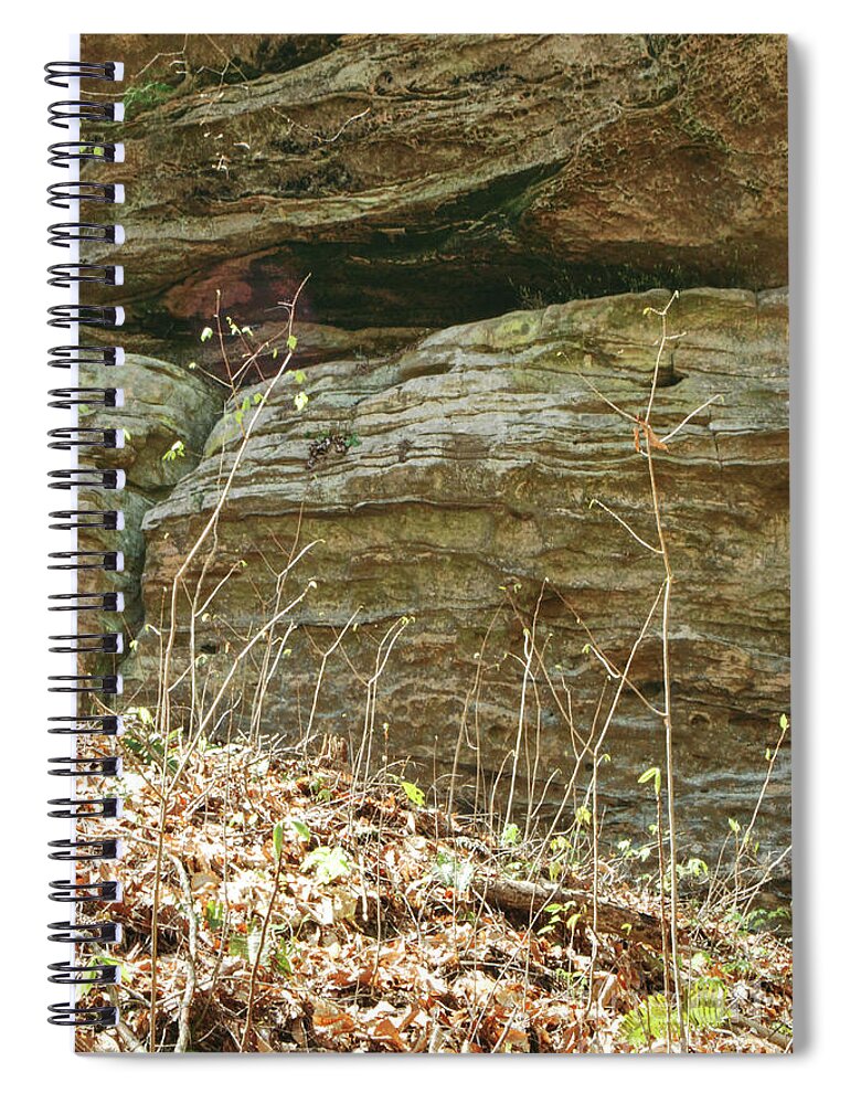 Erosion Spiral Notebook featuring the photograph Sandstone Wall by Phil Perkins