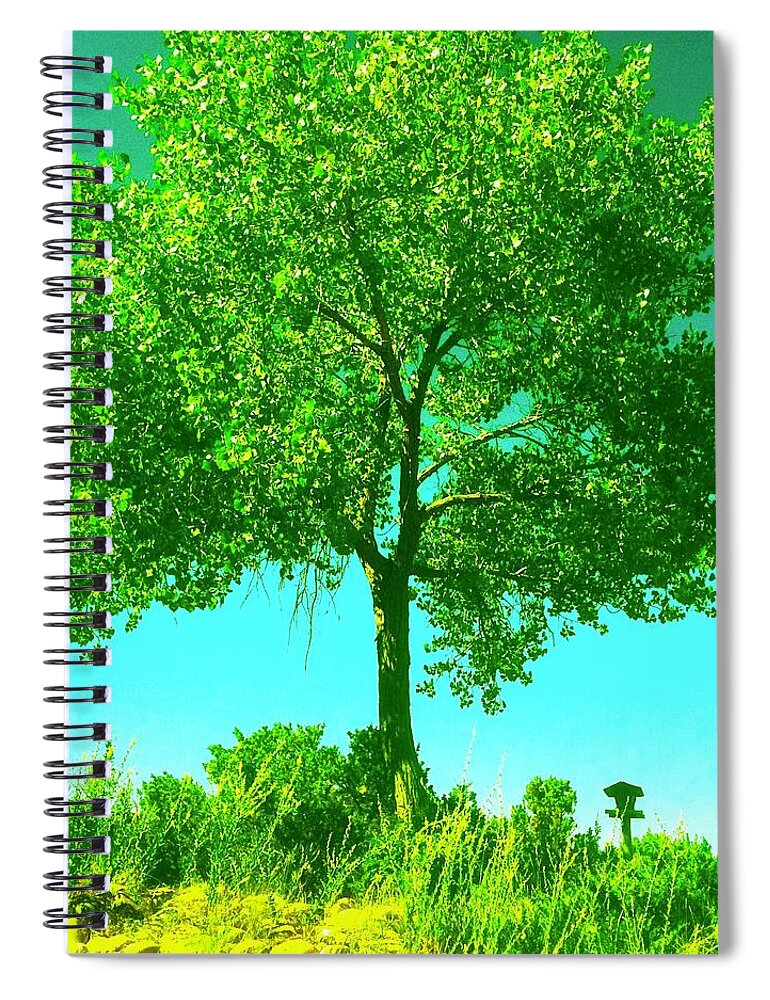 Tree Spiral Notebook featuring the photograph Santa Fe Tree 3 by Marty Klar