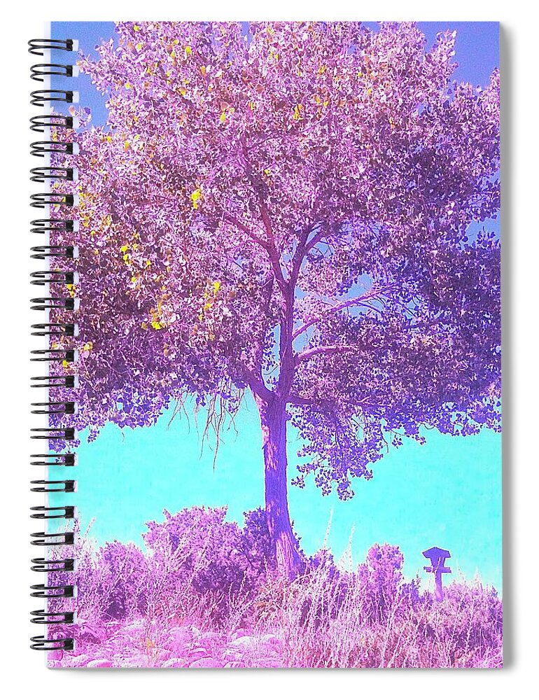 Tree Spiral Notebook featuring the photograph Santa Fe Tree 5 by Marty Klar